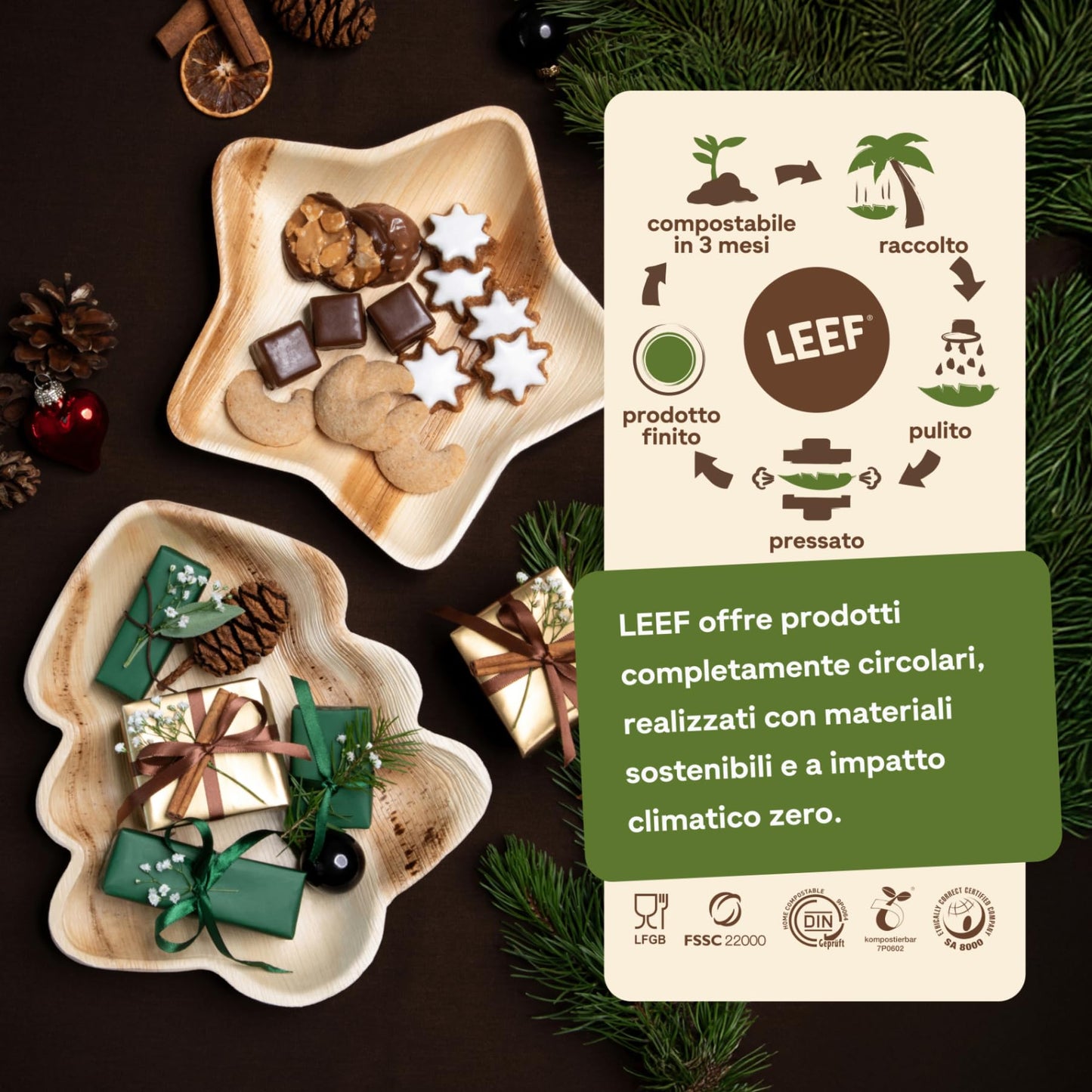 Leef® Piatti foglia di Palma [Ø 23 cm] piatti usa e getta come alternativa ai piatti carta [50 pz.] piatti di carta eleganti come piatti carta compleanno | piatti compostabili finger food